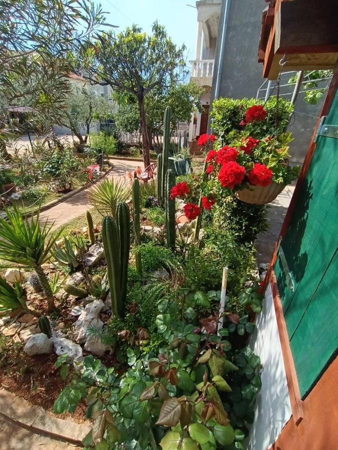 Cactus House Gaspar Zadar Exteriör bild