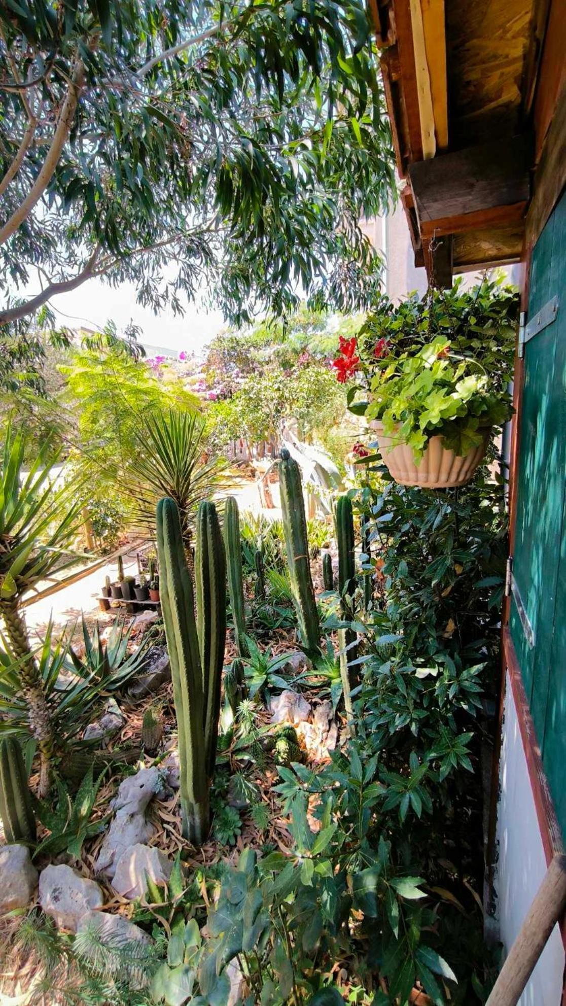 Cactus House Gaspar Zadar Exteriör bild